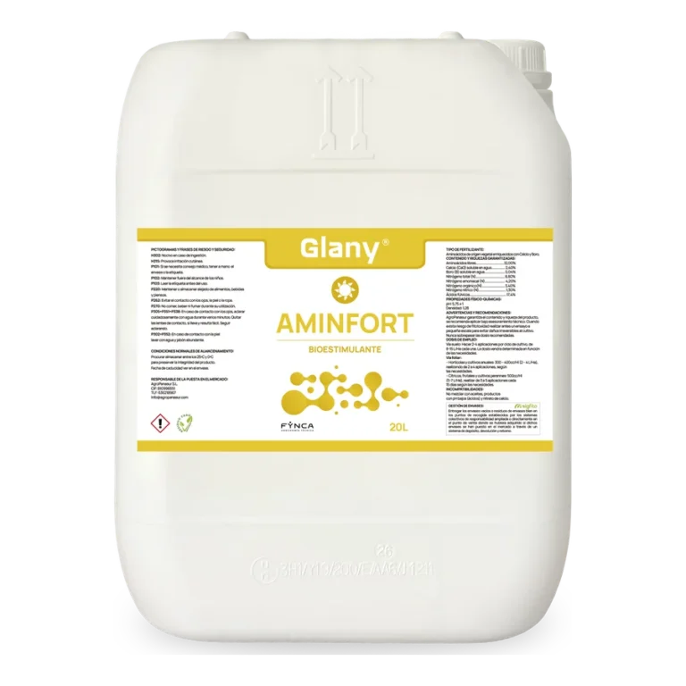 Glany Aminfort