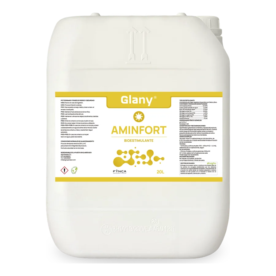 Glany Aminfort