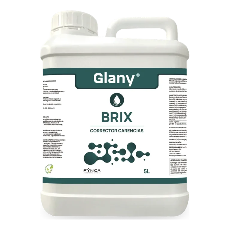 Glany Brix