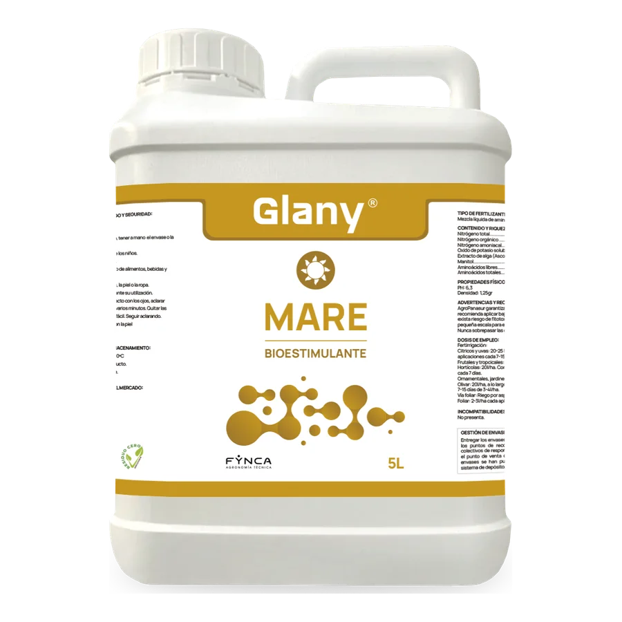 Glany Mare