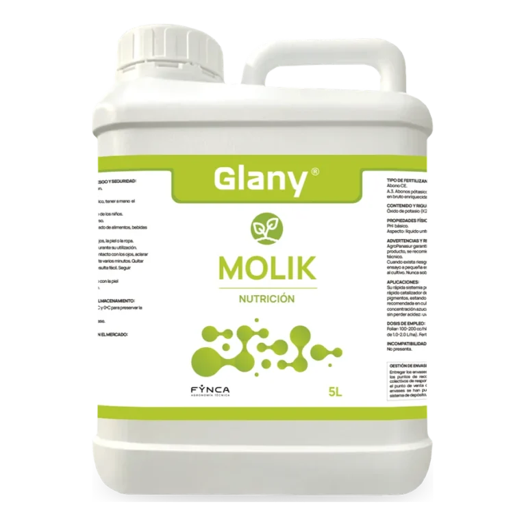 Glany Molik