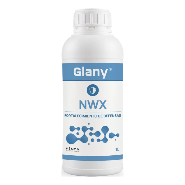 Glany NWX