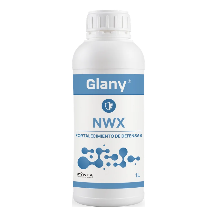 Glany NWX