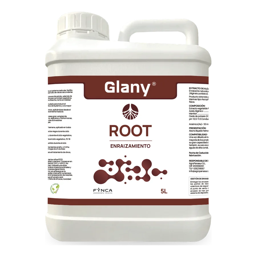 Glany Root
