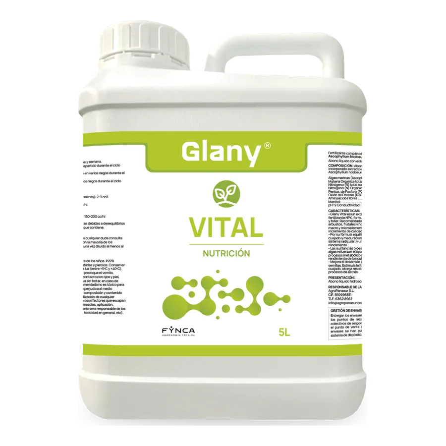 Glany Vital